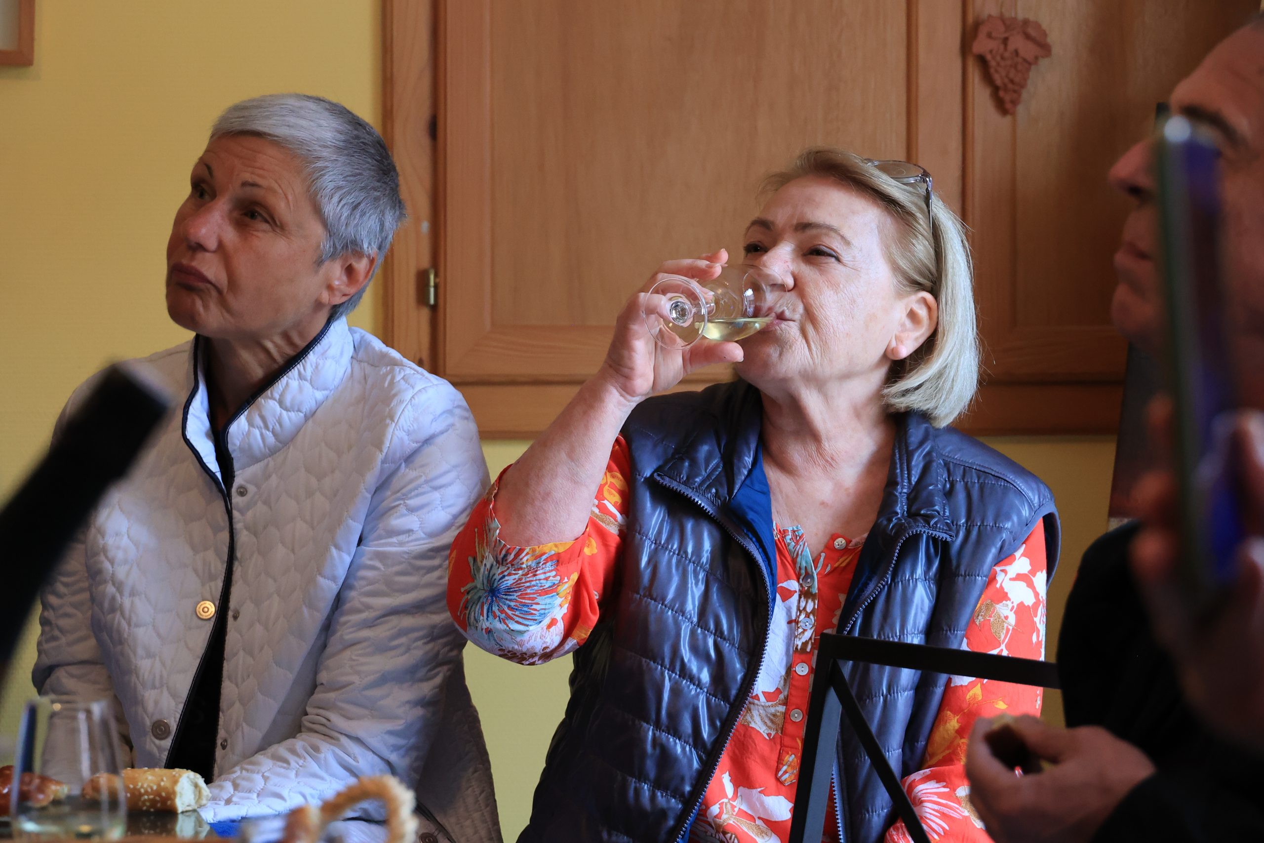 20250830-Rassemblement-Alsace-Domaine KELHETTER-029