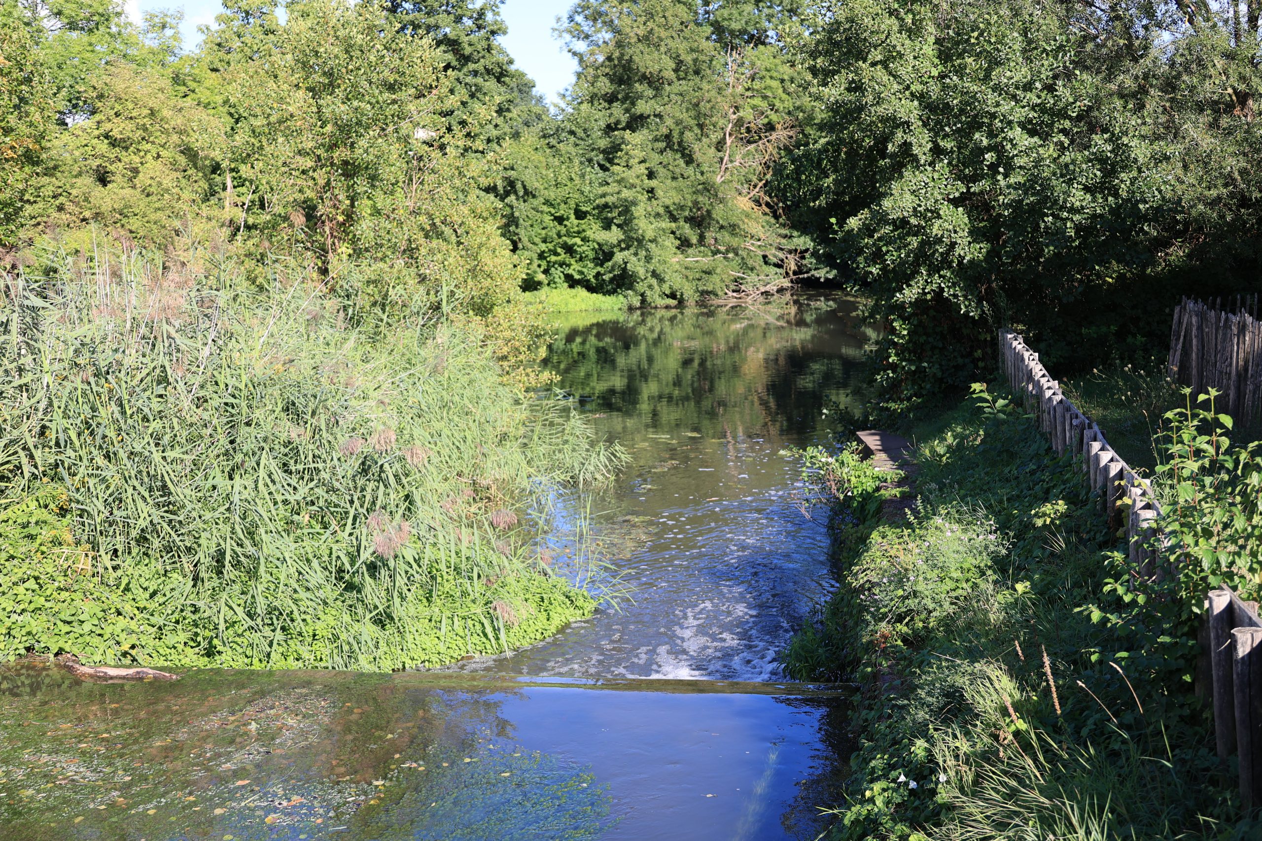20250830-Rassemblement-Alsace-Gite MEY Denis-OBERSCHAEFFOLSHEIM-032